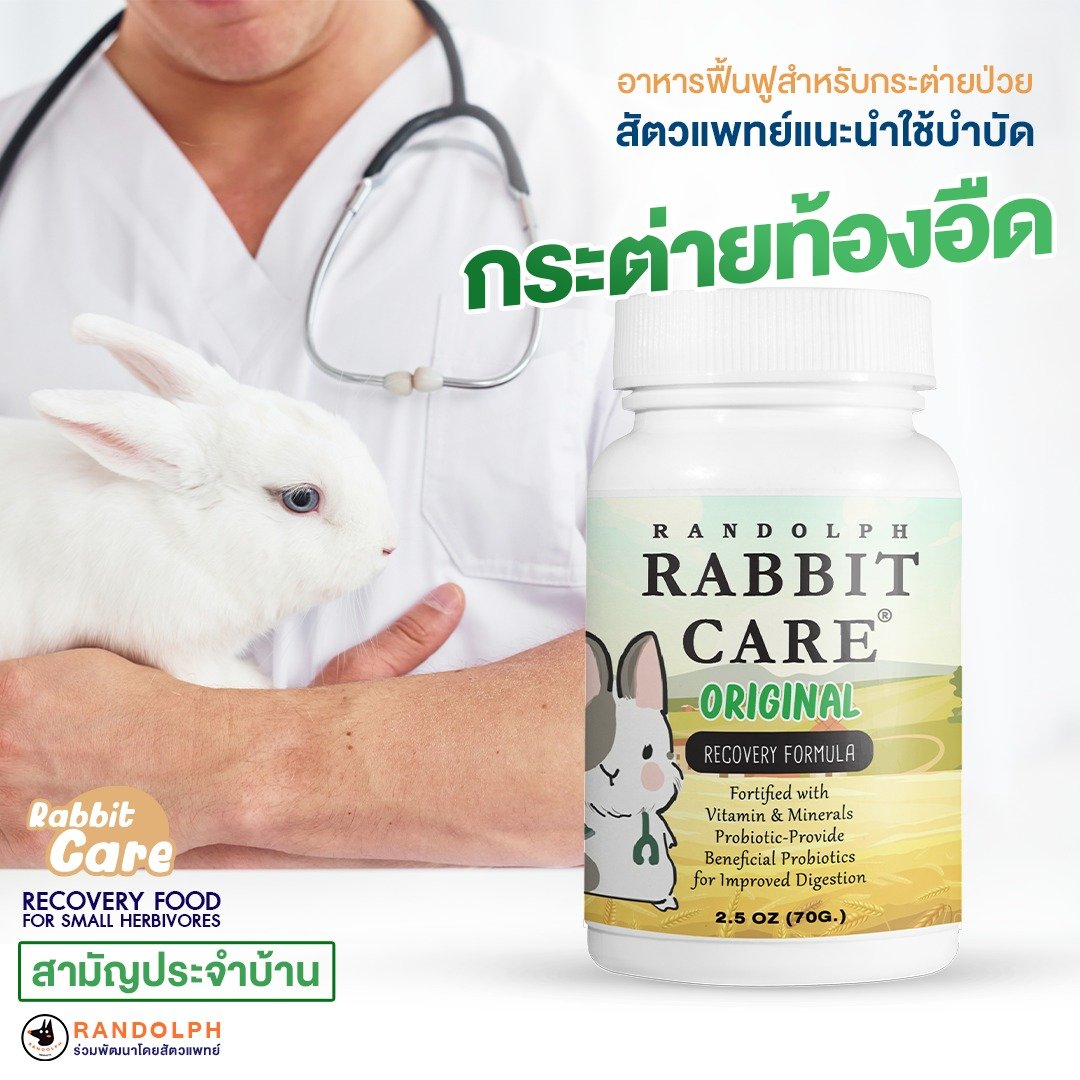 ผลิตภัณฑ์อาหารเสริม อาหารฟื้นฟู สำหรับสัตว์ขนาดเล็ก