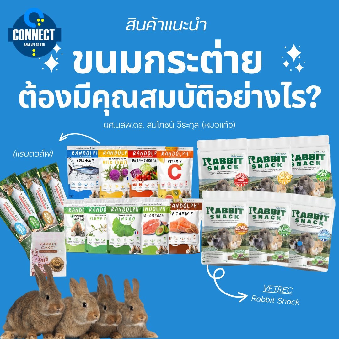 ขนมสำหรับกระต่าย ต้องมีคุณสมบัติอย่างไร ขนมสำหรับกระต่าย ต้องมีคุณสมบัติอย่างไร