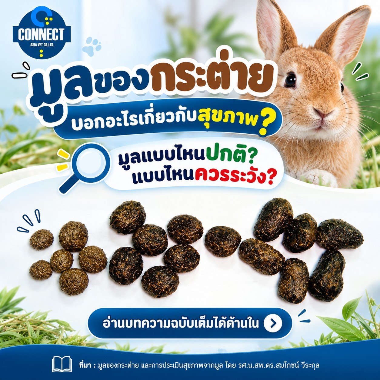 Rabbit Feces and Health Assessment Based on Fecal Characteristics