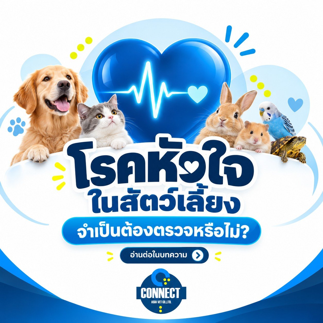 Heart Disease in Pets: The Silent Threat We Shouldnt Ignore