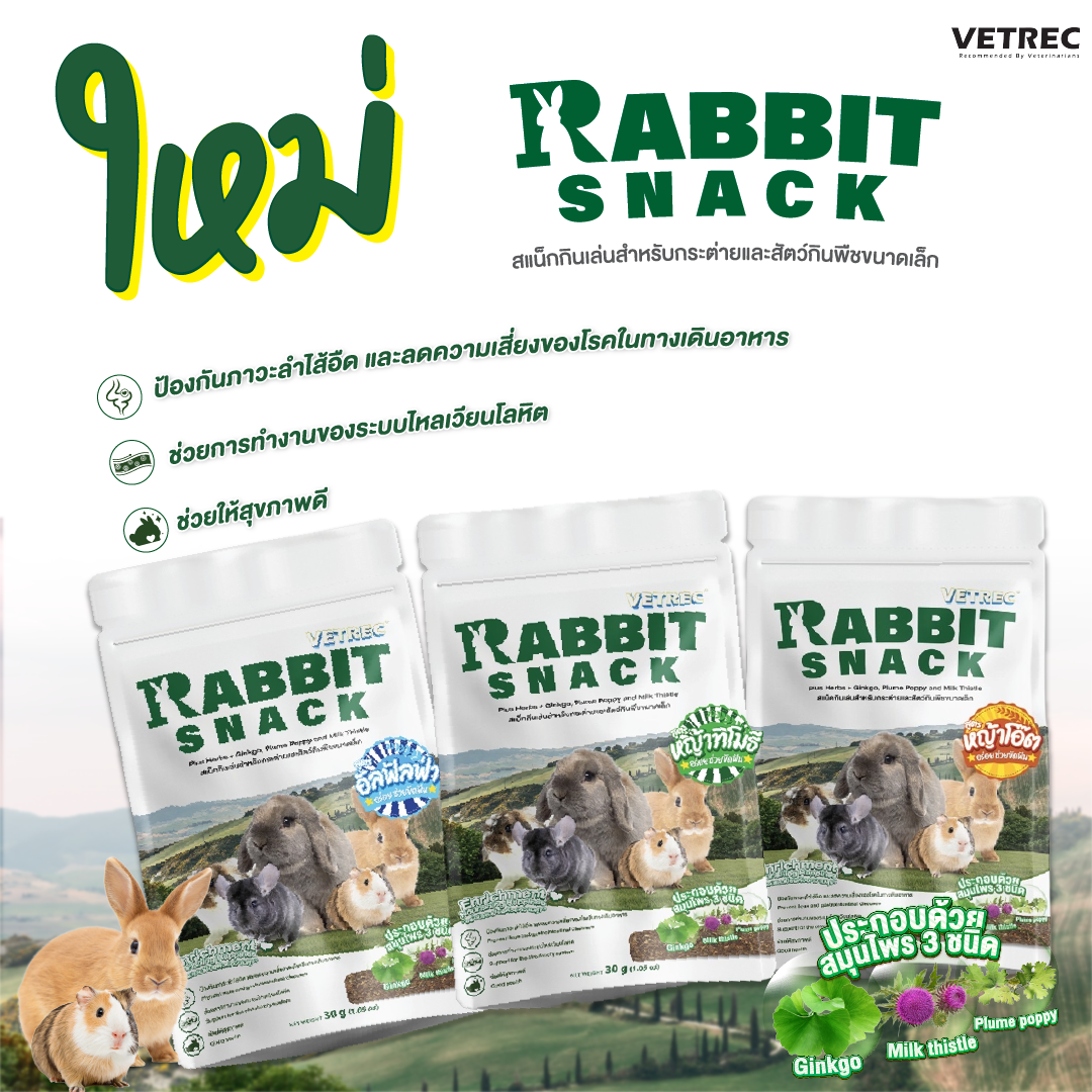 สินค้าใหม่ !! Vetrec Rabbit Snack (30g.) ขนมเชิงสุขภาพสำหรับสัตว์กินพืชขนาดเล็ก,กระต่าย 30 กรัม 3ชิ้น (4 รสชาติ)