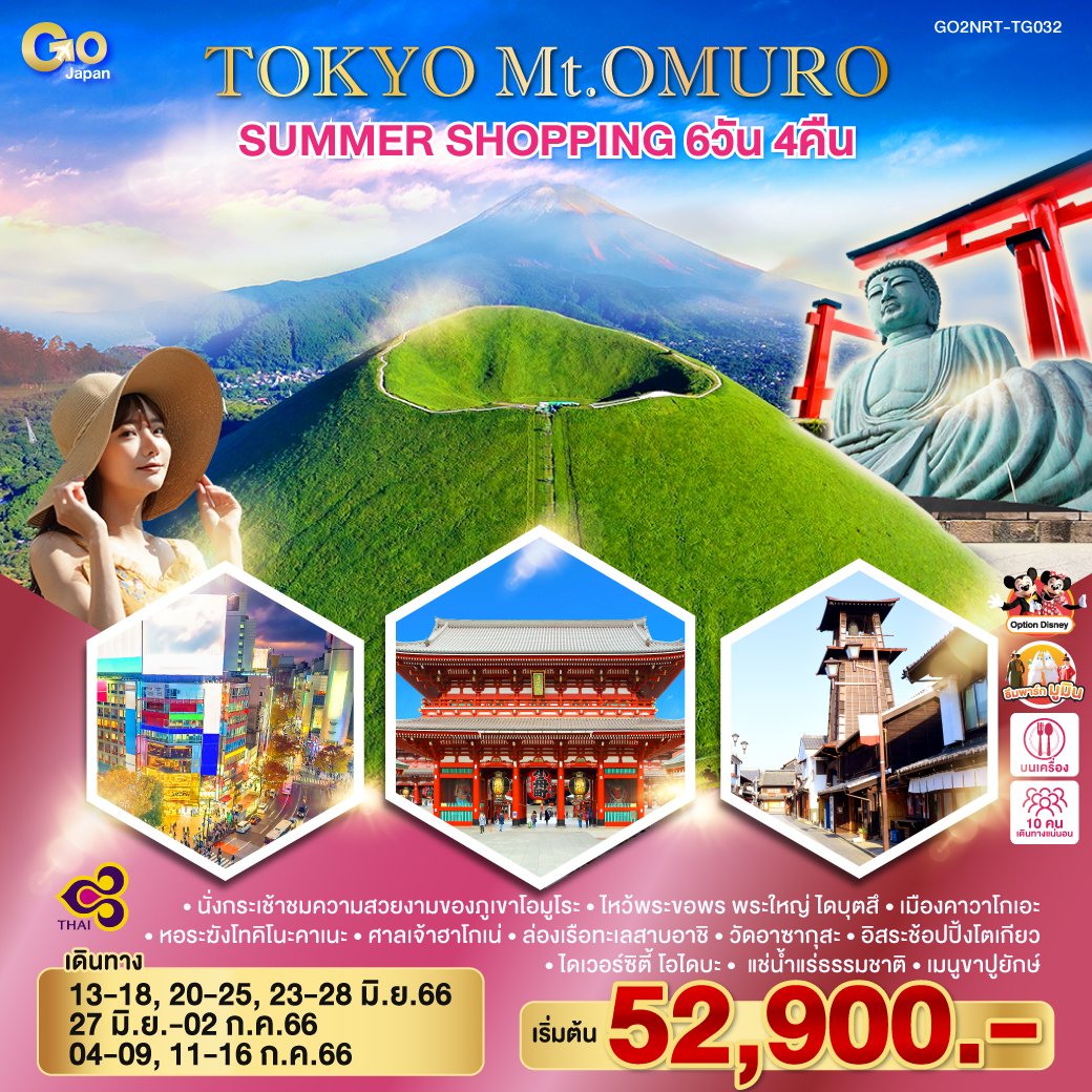 ทัวร์ญี่ปุ่น TOKYO Mt.OMURO SUMMER SHOPPING 6 วัน 4 คืน