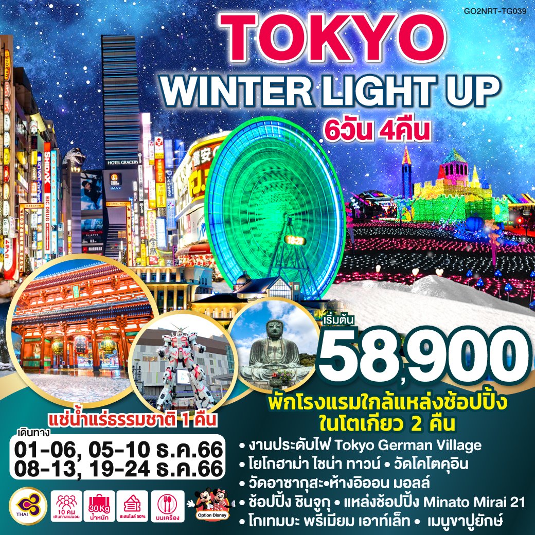 ทัวร์ญี่ปุ่น TOKYO WINTER LIGHT UP 6 วัน 4 คืน
