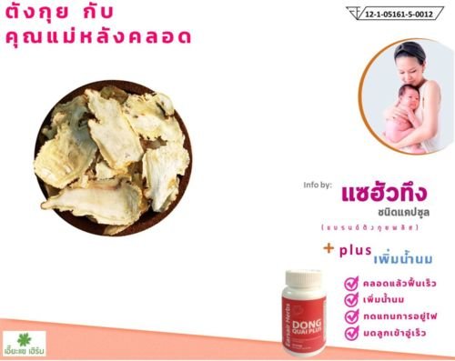 ตังกุย