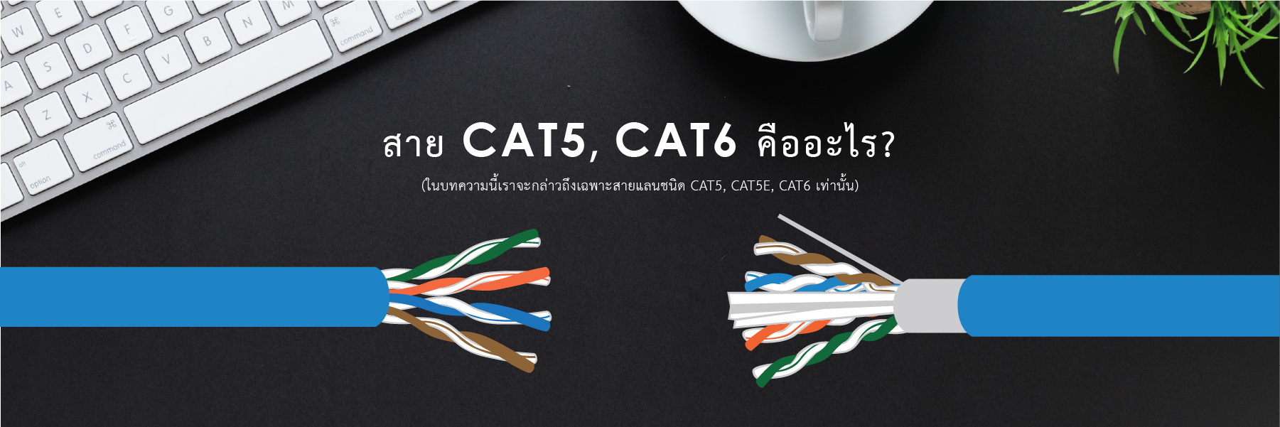 CAT5 CAT6 CAT5 CAT6