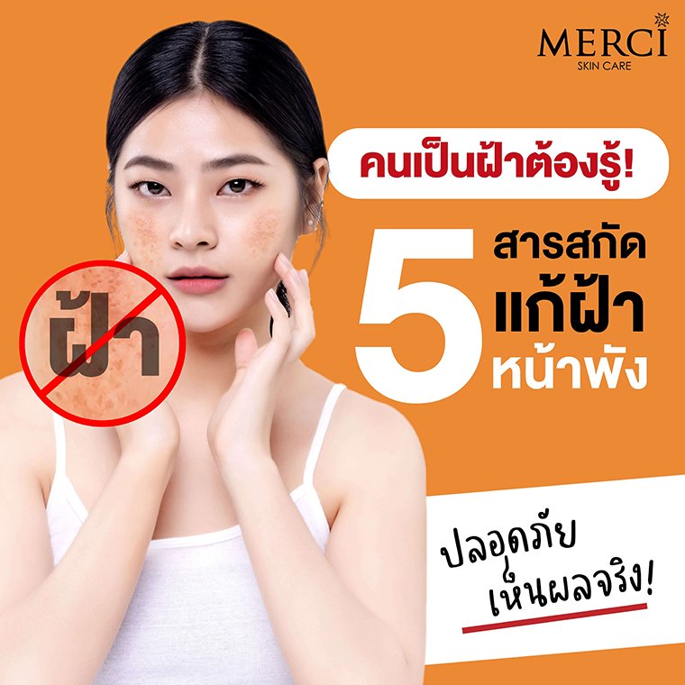 5 สารสกัดแก้ฝ้า หน้าพัง ปลอดภัย เห็นผลจริง 5 สารสกัดแก้ฝ้า หน้าพัง ปลอดภัย เห็นผลจริง