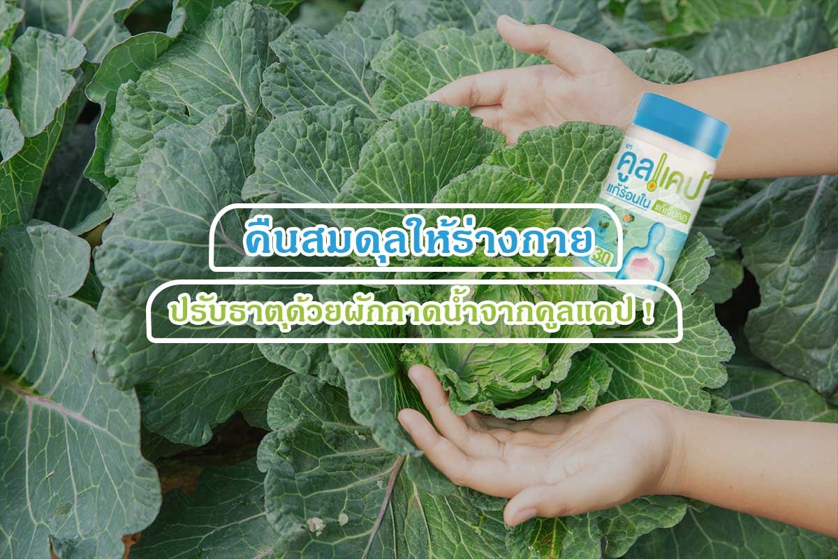 คืนสมดุลให้ร่างกาย ปรับธาตุด้วยผักกาดน้ำจากคูลแคป !