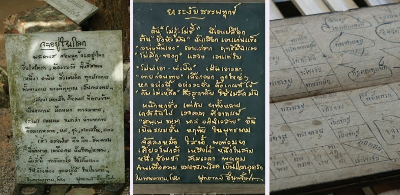 สมุนไพรไทย มีคุณค่ามาแต่โบราณ มีสรรพคุณมากมาย