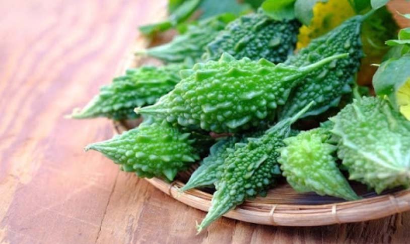 สมุนไพรแก้ร้อนใน มะระขี้นก