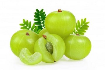 สมุนไพรแก้เจ็บคอ มะขามป้อม Indian Gooseberry