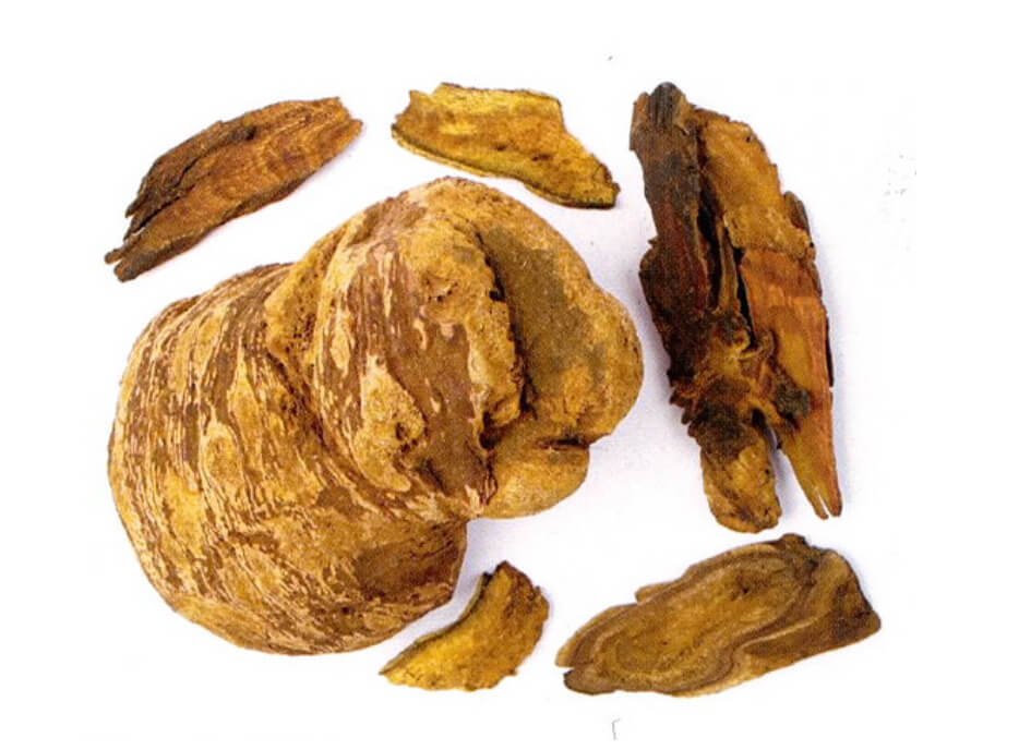 สมุนไพนแก้ท้องผูก