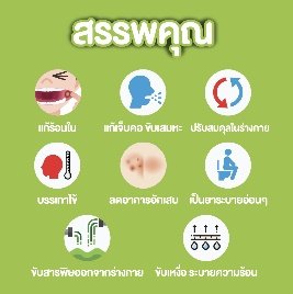 Koolcapp มีสรรพคุณดูแลร่ายกาย ด้วยยาตำรับไทย