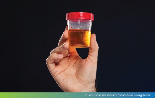 รายการตรวจสุขภาพก่อนเข้าทำงานที่บริษัทส่วนใหญ่เลือกใช้ รายการตรวจสุขภาพก่อนเข้าทำงานที่บริษัทส่วนใหญ่เลือกใช้