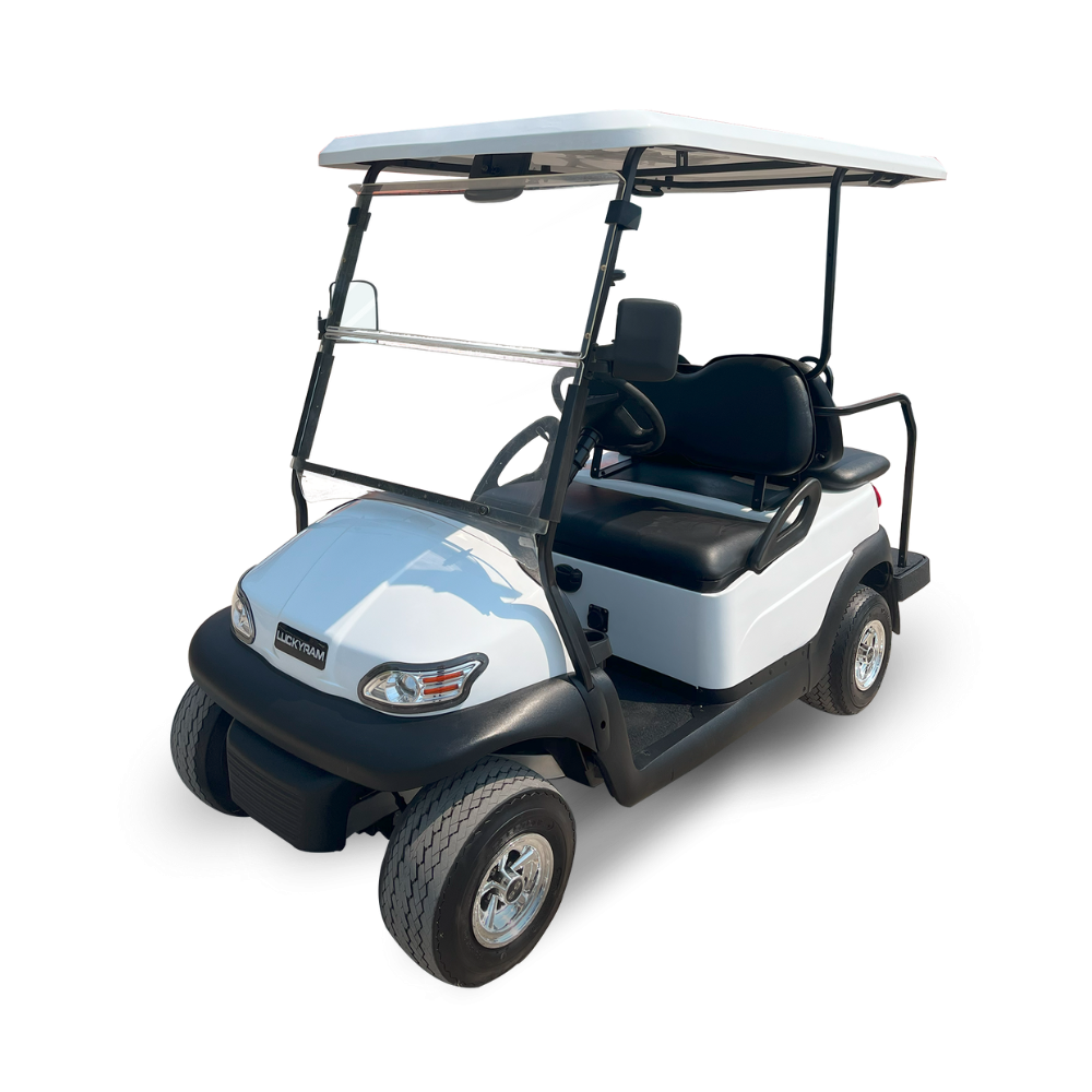 4 seat golf cart rental