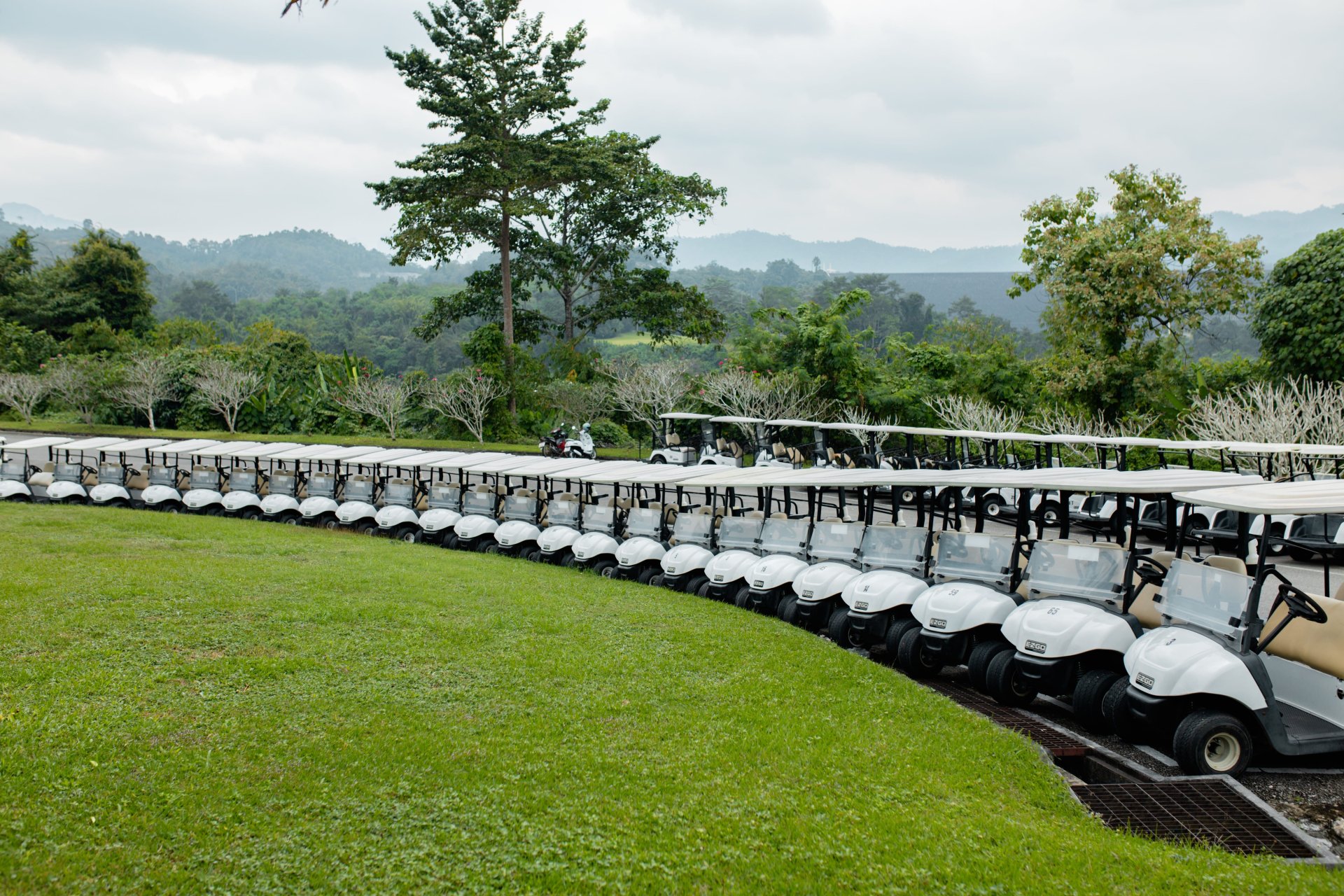 golfcart-rajjaprabha-rental_ รถกอล์ฟให้เช่าที่เขื่อนรัชชประภา - ภาพที่