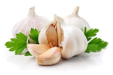 Garlic กระเทียม