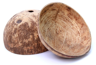 Coconut dried กะลามะพร้าวขัดเงา