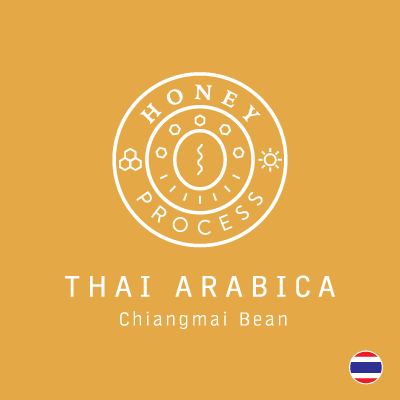 กาแฟดริป Thai Arabica - Honey Process 10g. x 5 Bags