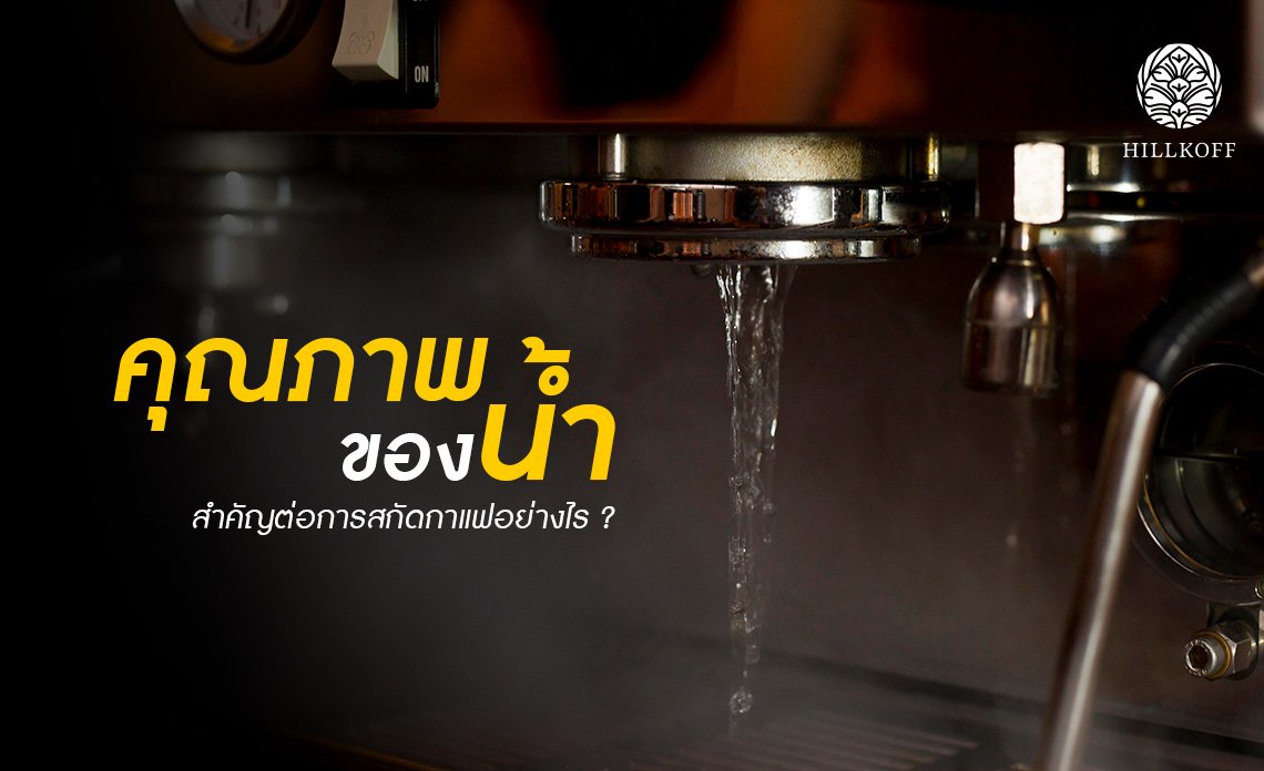 คุณภาพของน้ำสำคัญต่อการสกัดกาแฟอย่างไร ? คุณภาพของน้ำสำคัญต่อการสกัดกาแฟอย่างไร ?