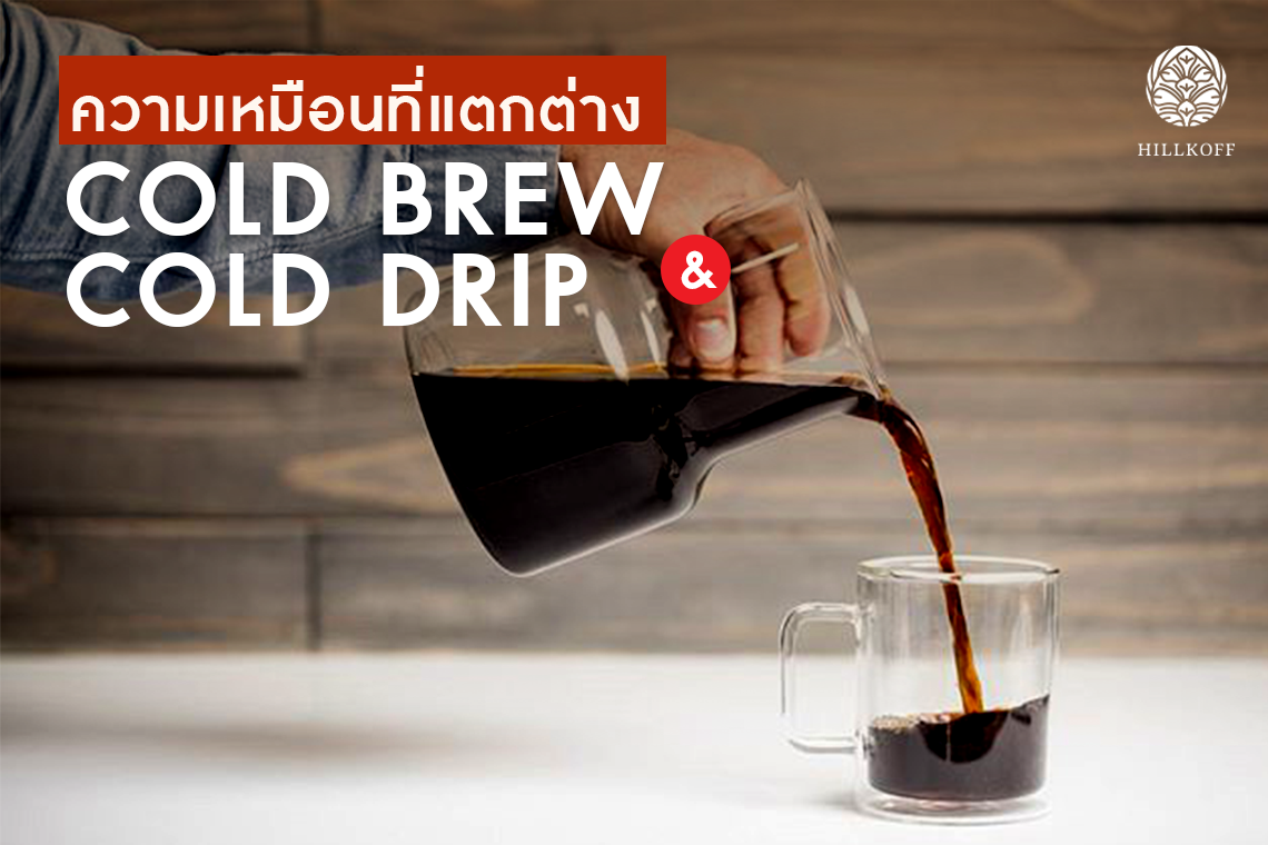 ความเหมือนที่แตกต่าง "Cold Brew & Cold Drip"