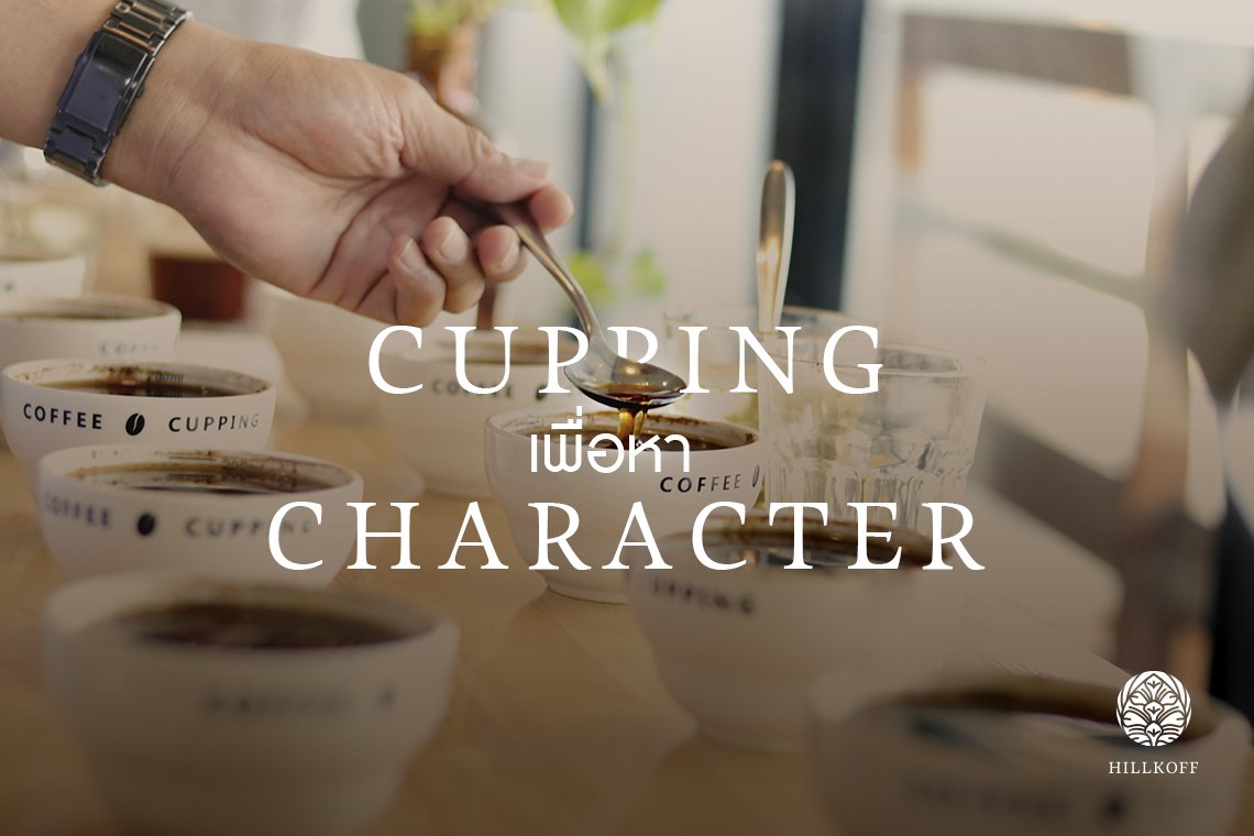 Cupping เพื่อหา Character