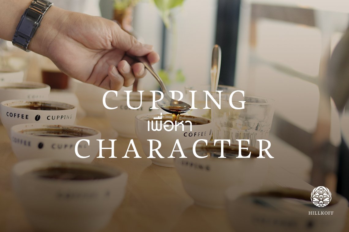 Cupping เพื่อหา Character Cupping เพื่อหา Character