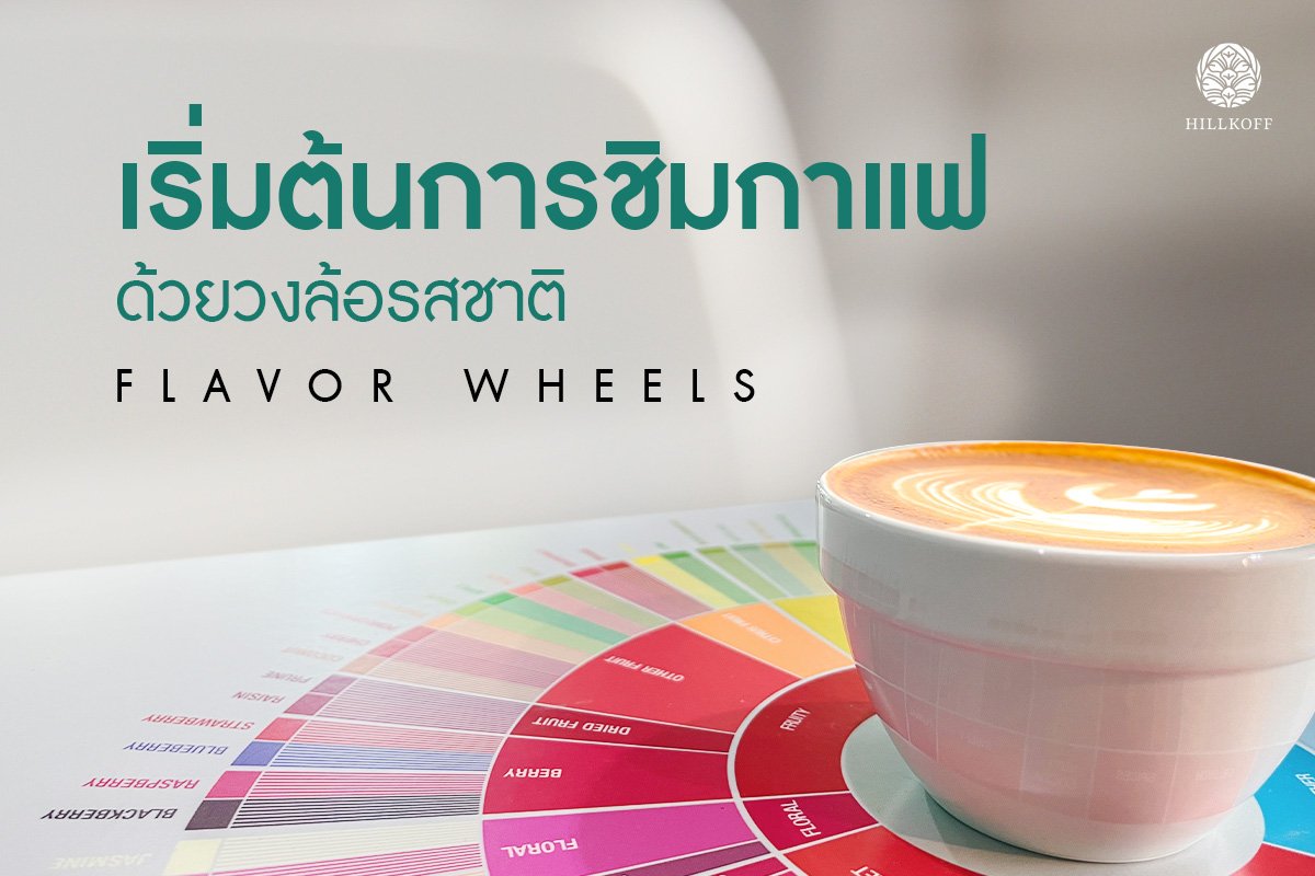 เริ่มต้นการชิมกาแฟด้วยวงล้อรสชาติ (Flavor Wheels)