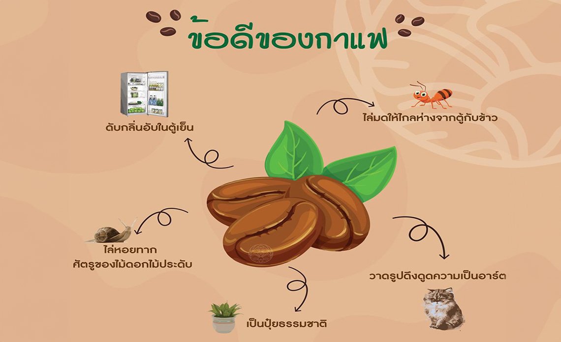 ข้อดีของกาแฟ EP.1