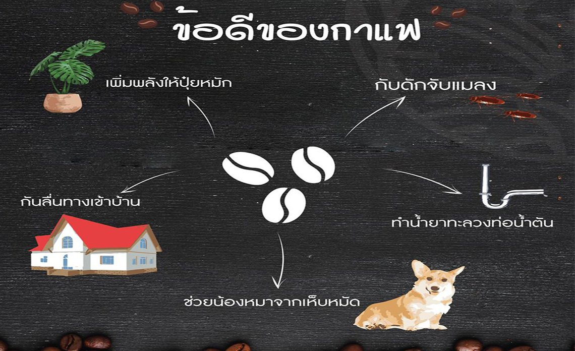 ข้อดีของกาแฟ EP.2 ข้อดีของกาแฟ EP.2