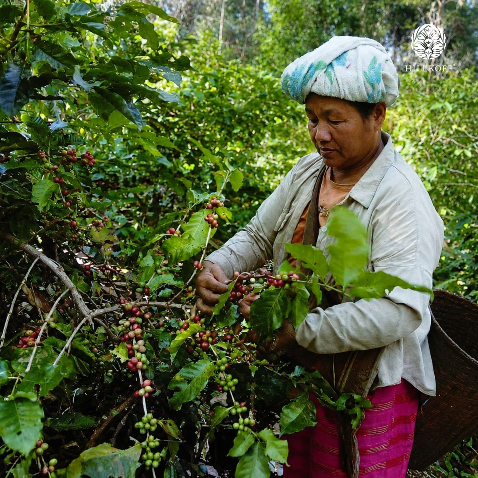 Community and Sustainability Sop Moei