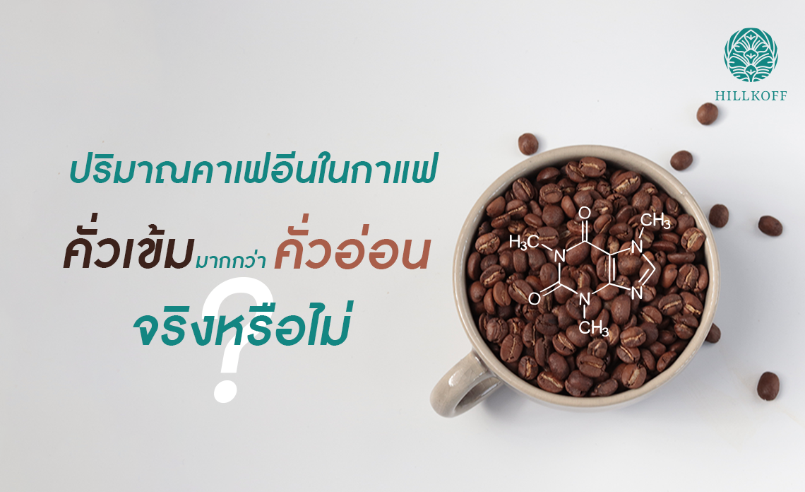 ความเชื่อที่ว่า กาแฟคั่วเข้มมีปริมาณคาเฟอีนมากกว่ากาแฟคั่วอ่อน จริงหรือไม่ ? ความเชื่อที่ว่า กาแฟคั่วเข้มมีปริมาณคาเฟอีนมากกว่ากาแฟคั่วอ่อน จริงหรือไม่ ?