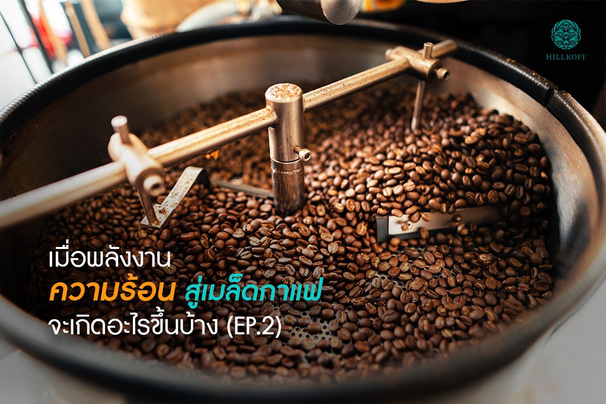 เมื่อพลังงานความร้อนสู่เมล็ดกาแฟ จะเกิดอะไรขึ้นบ้าง (EP.2)