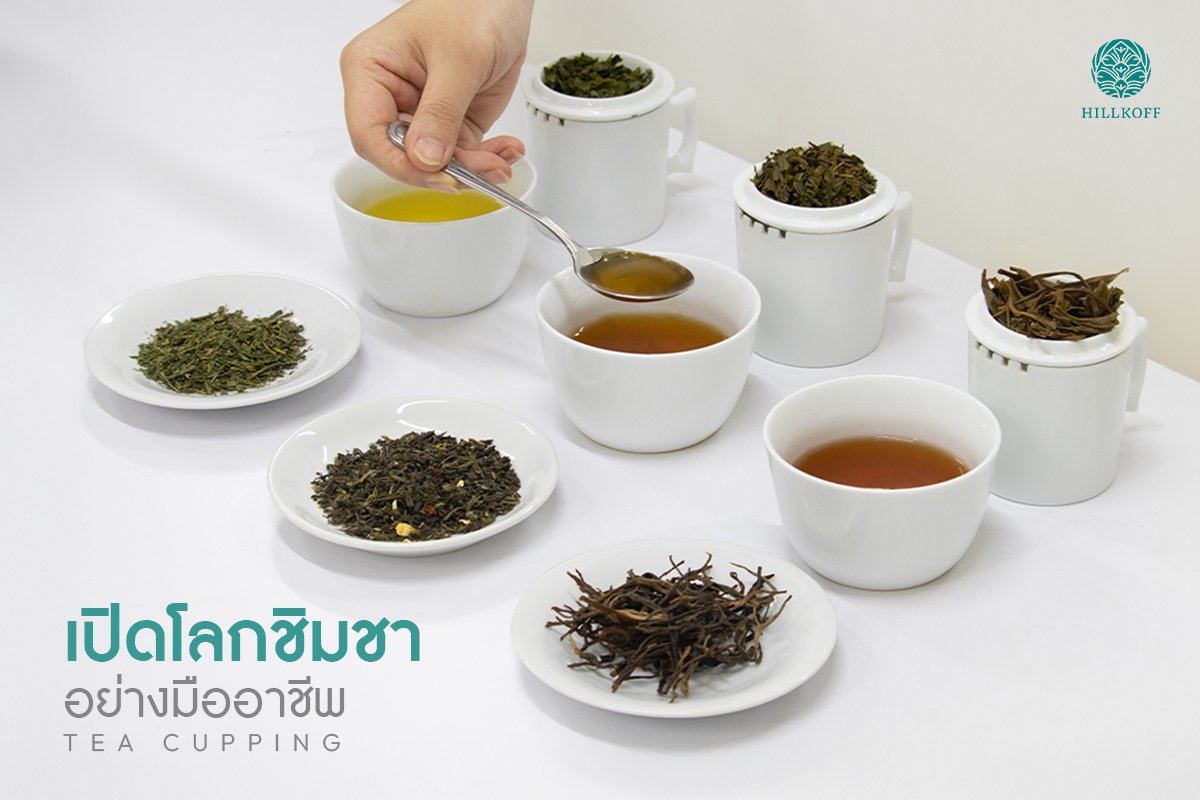 เปิดโลกการชิมชาอย่างมืออาชีพ: เจาะลึกกระบวนการชิมชาตั้งแต่การเตรียมอุปกรณ์ไปจนถึงการทดลองชิมแบบ Blind Tasting เปิดโลกการชิมชาอย่างมืออาชีพ: เจาะลึกกระบวนการชิมชาตั้งแต่การเตรียมอุปกรณ์ไปจนถึงการทดลองชิมแบบ Blind Tasting