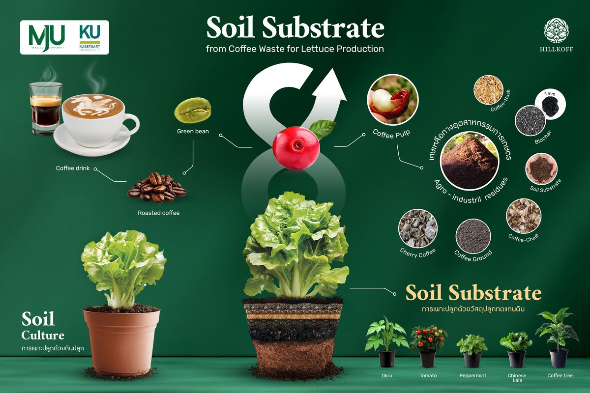 กาแฟกับเศรษฐกิจหมุนเวียน: เปลี่ยนของเสียให้เป็นทรัพยากรเพื่อโลกที่ยั่งยืน กาแฟกับเศรษฐกิจหมุนเวียน: เปลี่ยนของเสียให้เป็นทรัพยากรเพื่อโลกที่ยั่งยืน