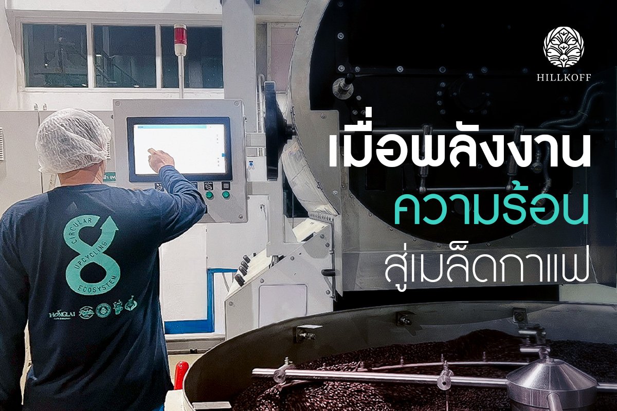 เมื่อพลังงานความร้อนสู่เมล็ดกาแฟ จะเกิดอะไรขึ้นบ้าง (EP.1) เมื่อพลังงานความร้อนสู่เมล็ดกาแฟ จะเกิดอะไรขึ้นบ้าง (EP.1)