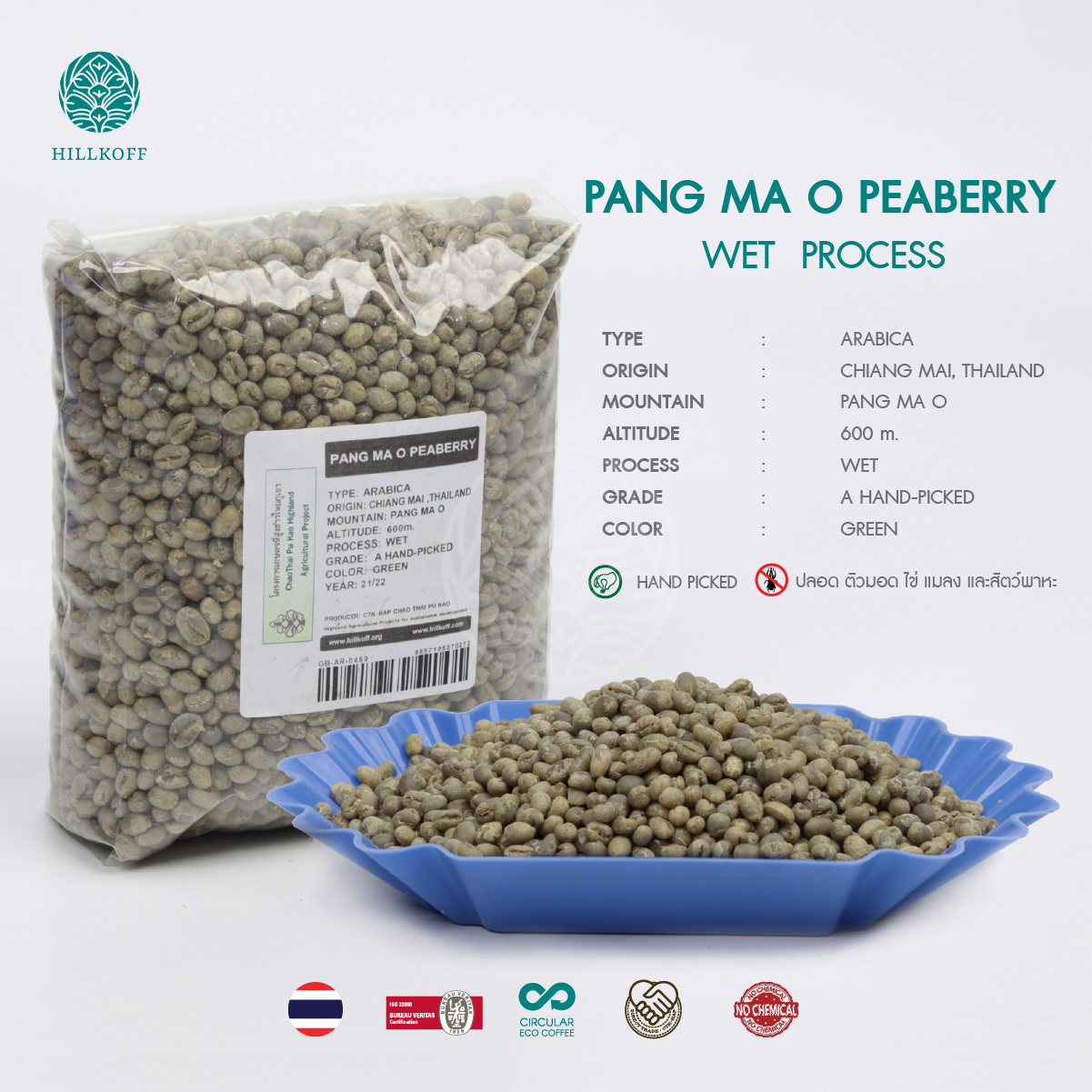 เมล็ดกาแฟสาร PANG MA O PEABERRY พร้อมคั่วทันที (ปางมะโอ พีเบอร์รี่ ) Arabica Grade A คัดมือพิเศษ : 1 Kg.
