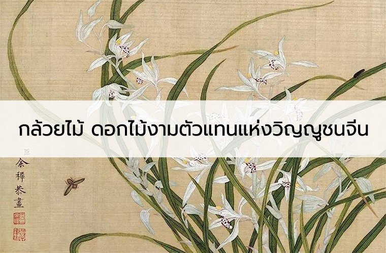 กล้วยไม้ ดอกไม้งามตัวแทนแห่งวิญญูชนจีน