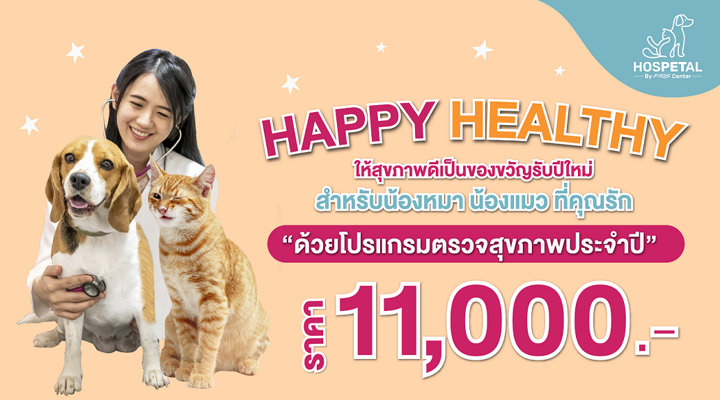 มอบสุขภาพดีเป็นของขวัญปีใหม่ด้วยโปรแกรมตรวจสุขภาพประจำปี 
