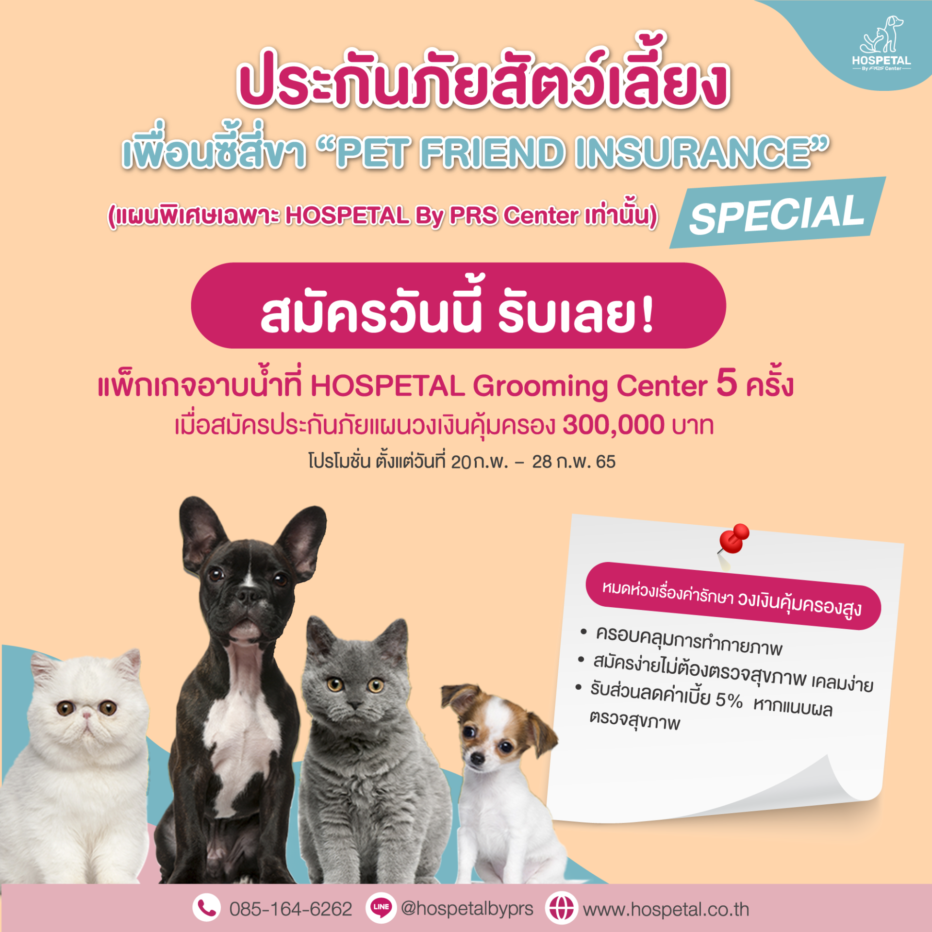 ประกันภัยสัตว์เลี้ยง เพื่อนซี้สี่ขา "Pet Friend Insurance Special" 
