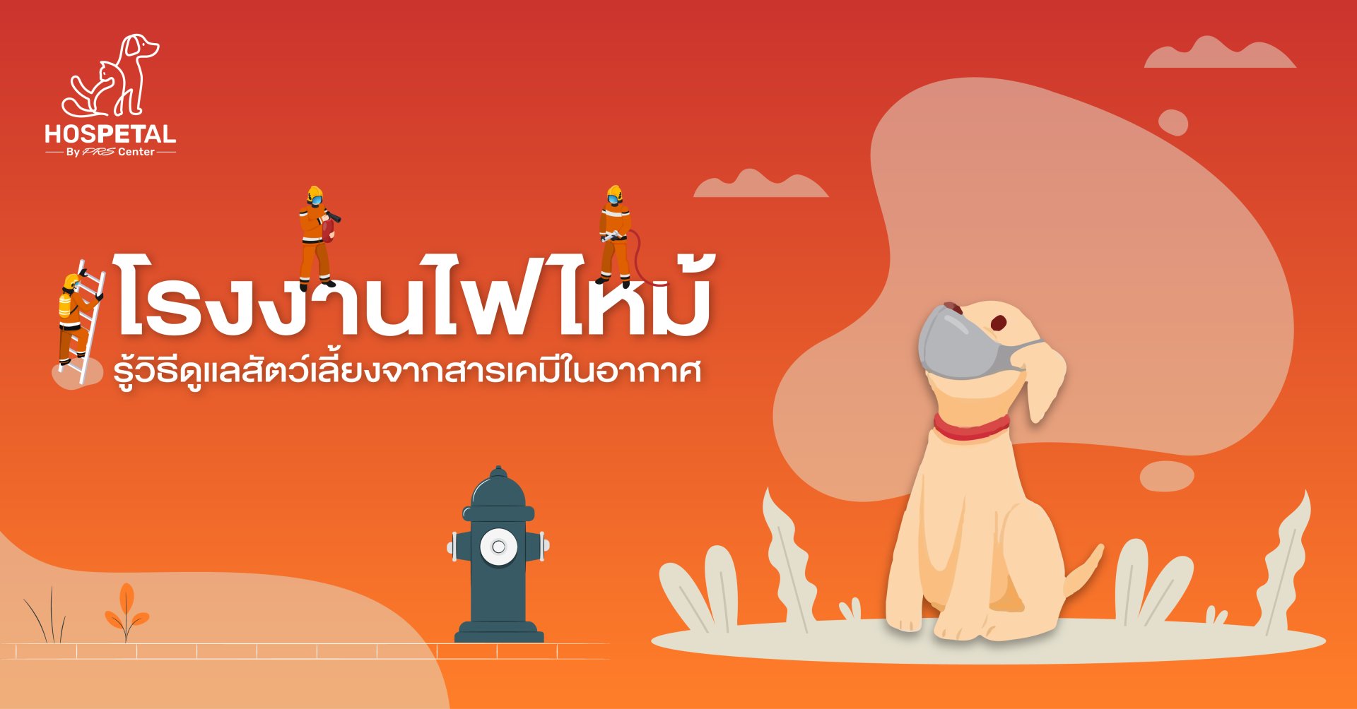 โรงงานไฟไหม้  รู้วิธีดูเเลสัตว์เลี้ยงจากสารเคมีในอากาศ โรงงานไฟไหม้  รู้วิธีดูเเลสัตว์เลี้ยงจากสารเคมีในอากาศ