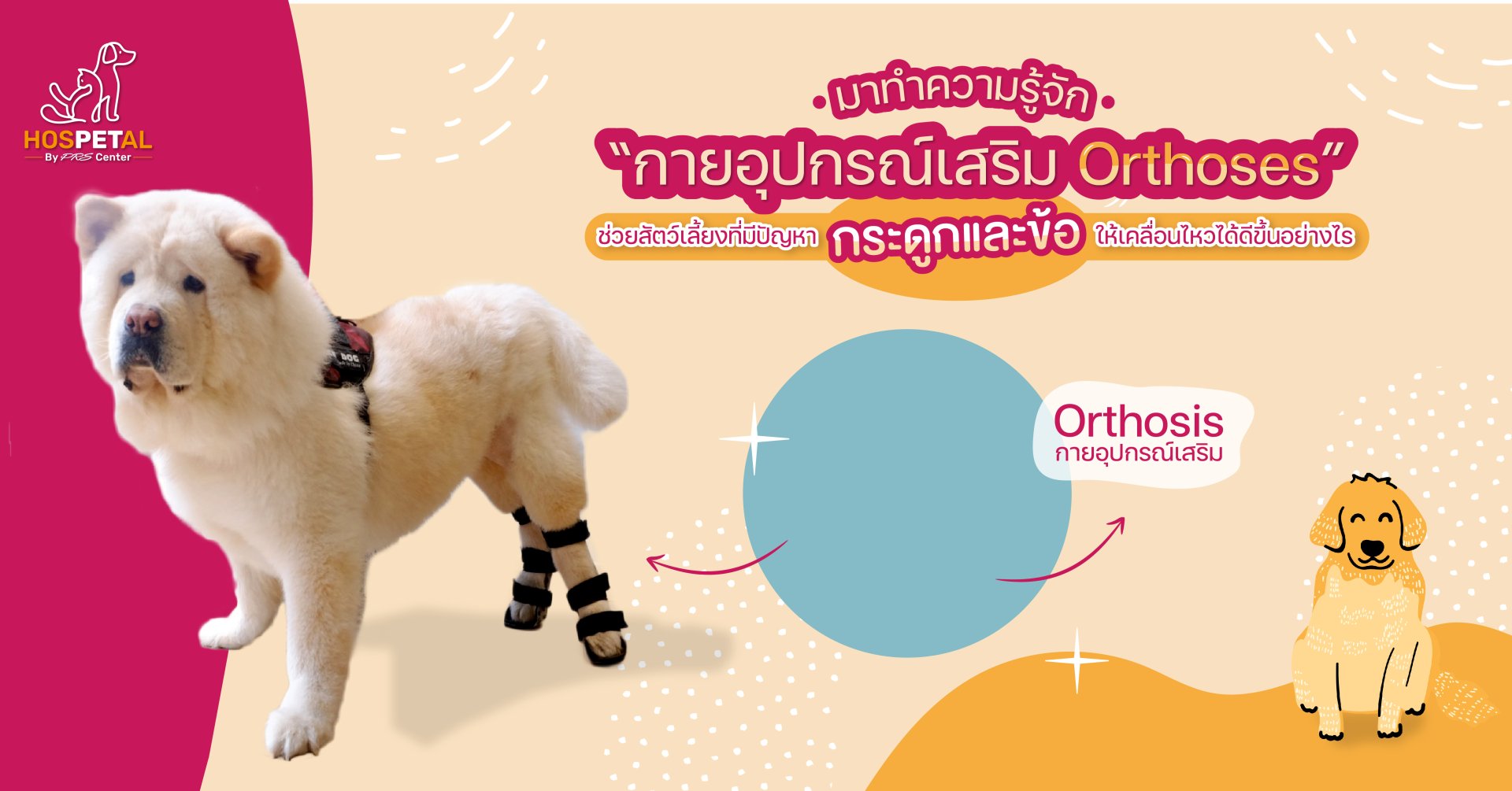 ทำความรู้จักกับ “กายอุปกรณ์เสริม Orthoses” ทำความรู้จักกับ “กายอุปกรณ์เสริม Orthoses”