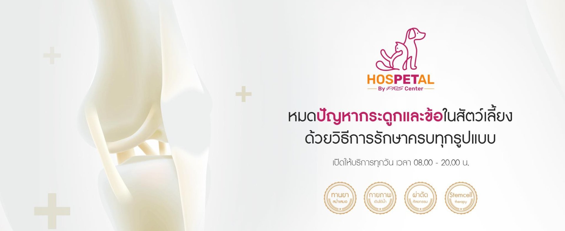 รักษากระดูกและข้อในสัตว์เลี้ยง