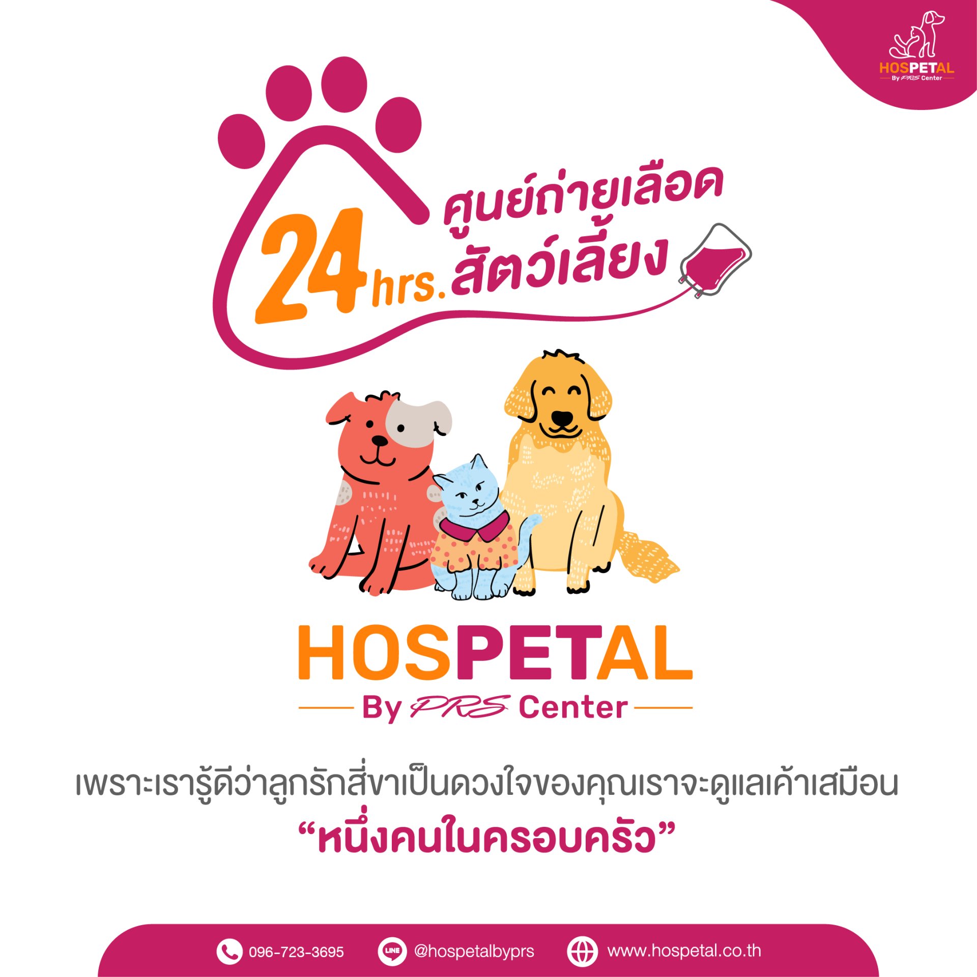 ศูนย์ถ่ายเลือดสัตว์เลี้ยง 24 ชั่วโมง  ศูนย์ถ่ายเลือดสัตว์เลี้ยง 24 ชั่วโมง