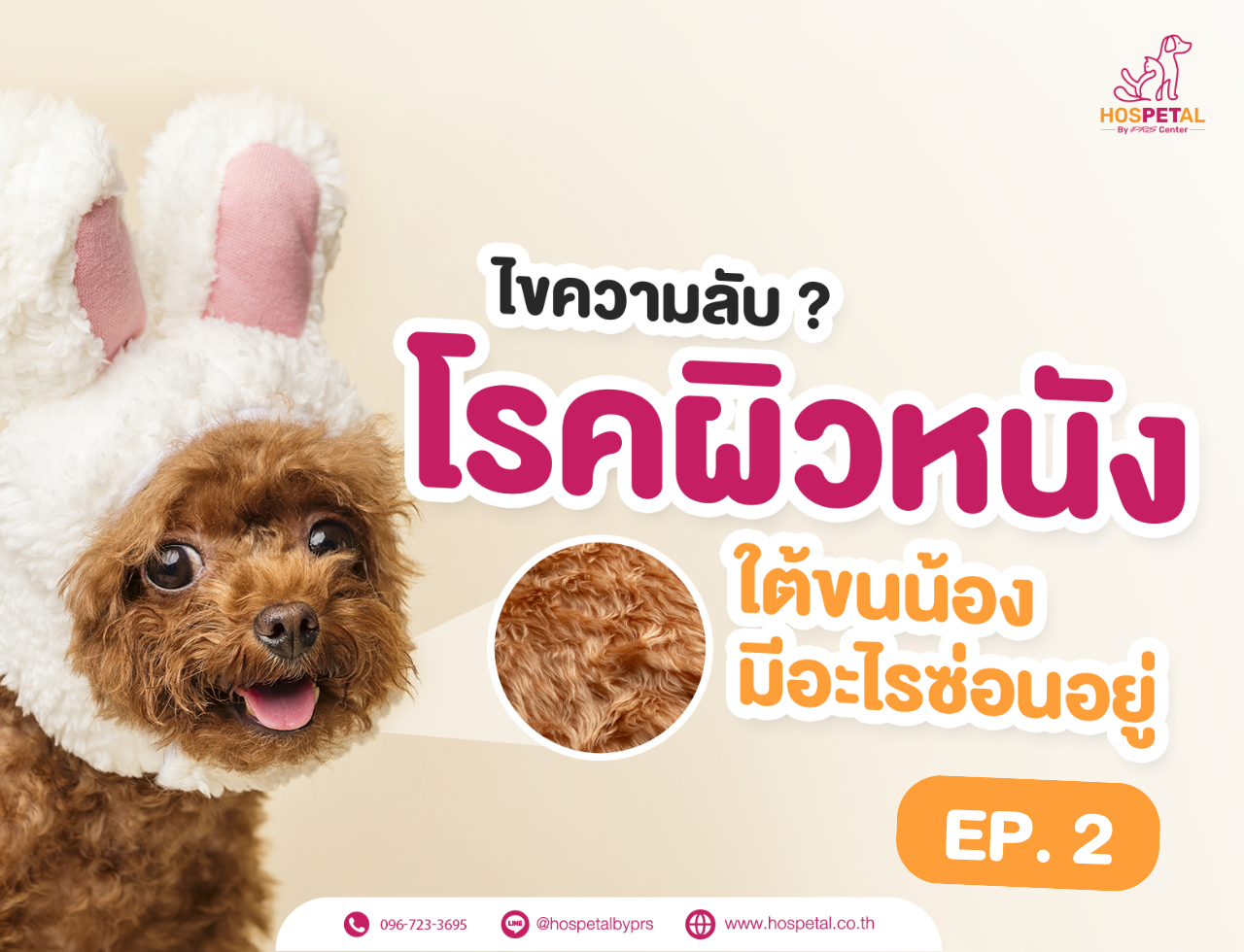 EP.2: ไขความลับ ใต้ขนน้องที่มีปัญหาโรคผิวหนัง มีอะไรซ่อนอยู่?  EP.2: ไขความลับ ใต้ขนน้องที่มีปัญหาโรคผิวหนัง มีอะไรซ่อนอยู่?