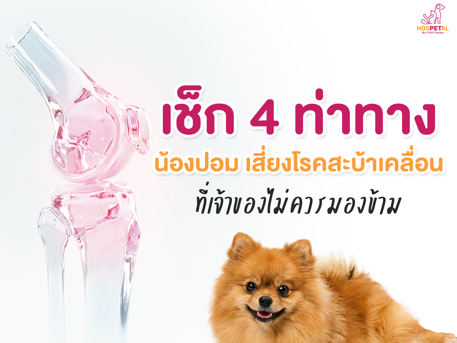 เช็คท่าทางน้องปอมว่าเป็นโรคสะบ้าเคลื่อน 2