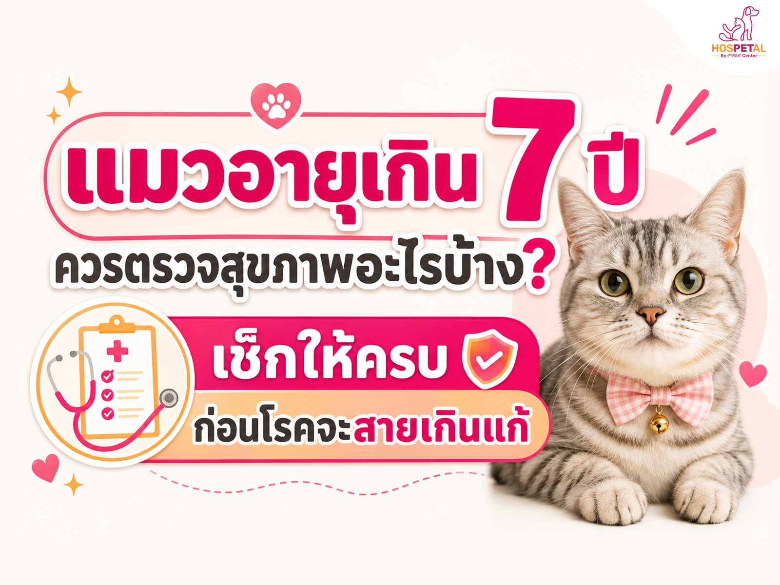 What Health Checks Should Cats Over 7 Years Old Have?