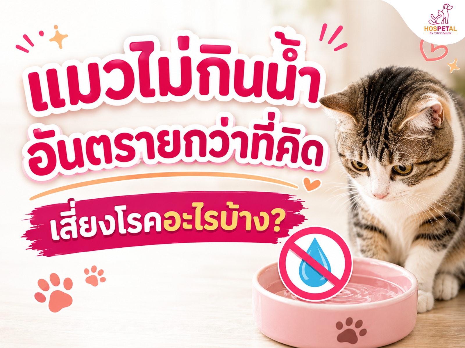 When Your Cat Won't Drink Water: Hidden Dangers and Health Risks
