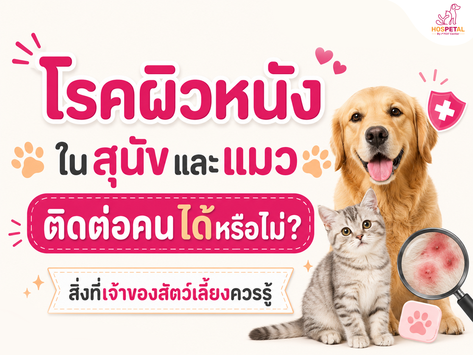 โรคผิวหนังในสุนัขและแมว ติดต่อคนได้หรือไม่? สิ่งที่เจ้าของสัตว์เลี้ยงควรรู้