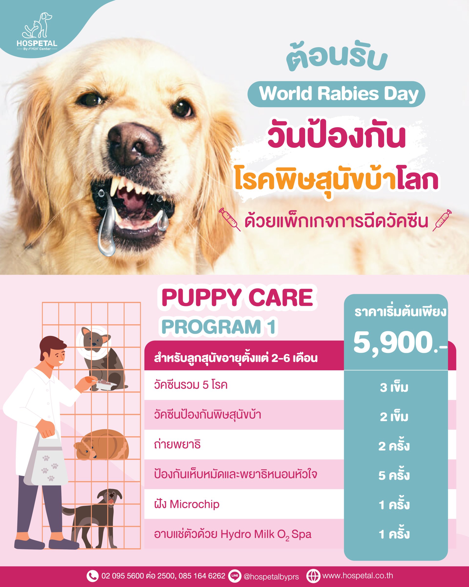 โรคพิษสุนัขบ้า โรคพิษสุนัขบ้า