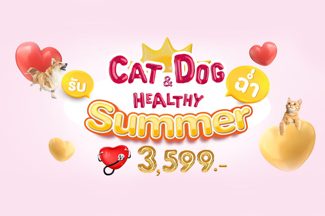 เพื่อสุขภาพที่ดีของเข้าสี่ขา Cat & Dog Healthy ฉ่ำ รับ Summer